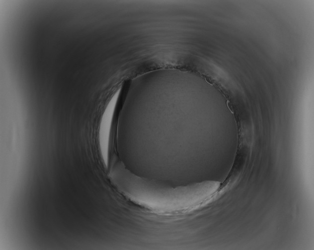 X0000097830029200803201507