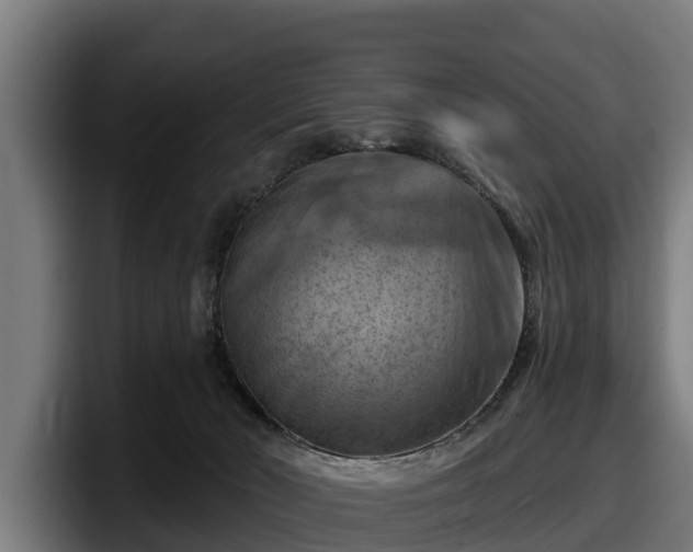 X0000097830030200803201507