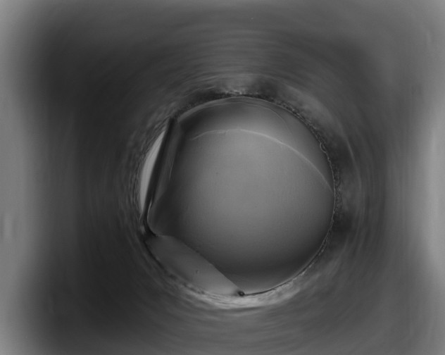 X0000097830031200803201507