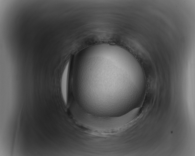 X0000097830033200803201507