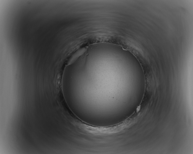 X0000097830034200803201507