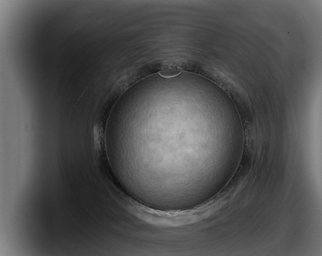 X0000097830038200803201506