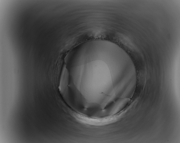 X0000097830039200803201506