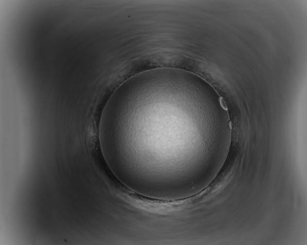 X0000097830040200803201506