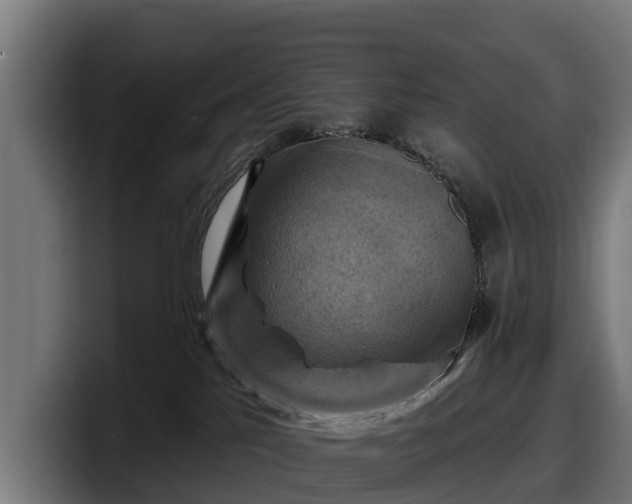 X0000097830041200803201506