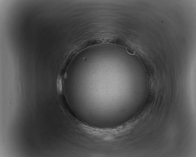 X0000097830042200803201506