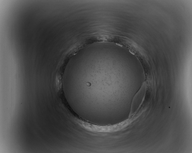 X0000097830043200803201506