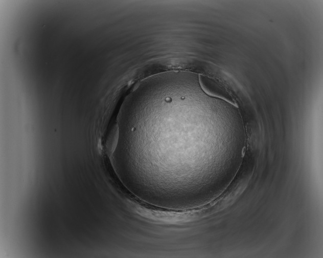 X0000097830044200803201506