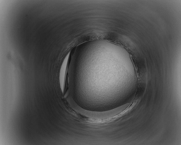 X0000097830045200803201506