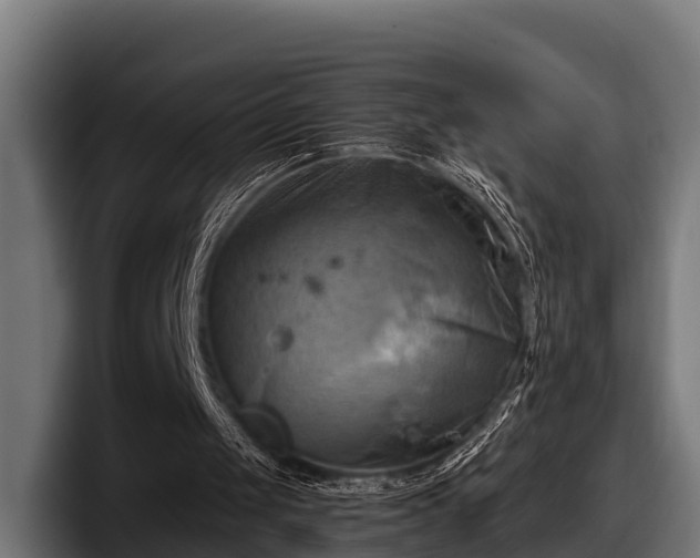 X0000097830049200803201506