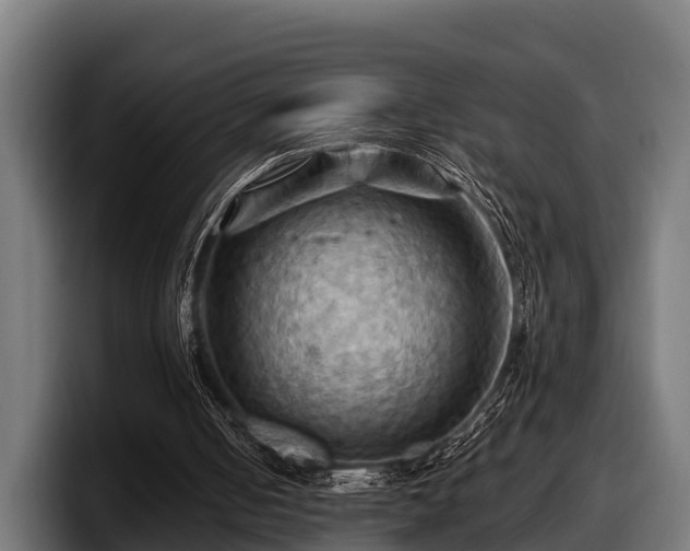 X0000097830050200803201506