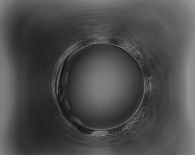 X0000097830051200803201506