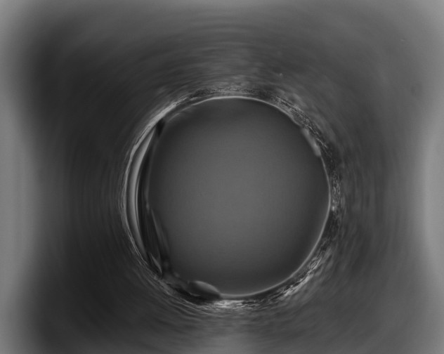 X0000097830052200803201506