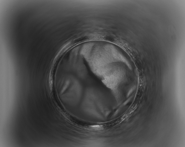 X0000097830053200803201506