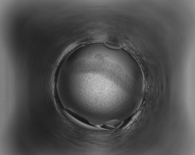 X0000097830054200803201506