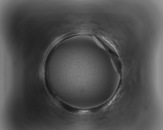 X0000097830055200803201506