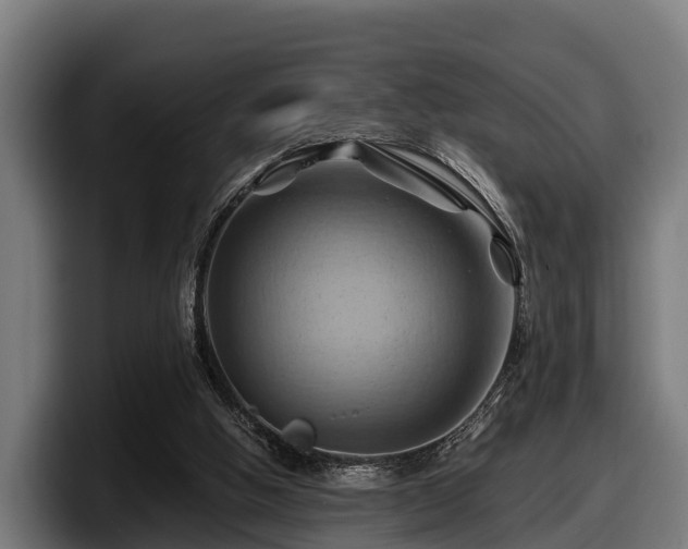 X0000097830058200803201506