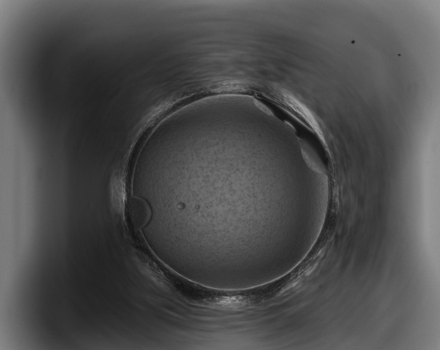 X0000097830059200803201506