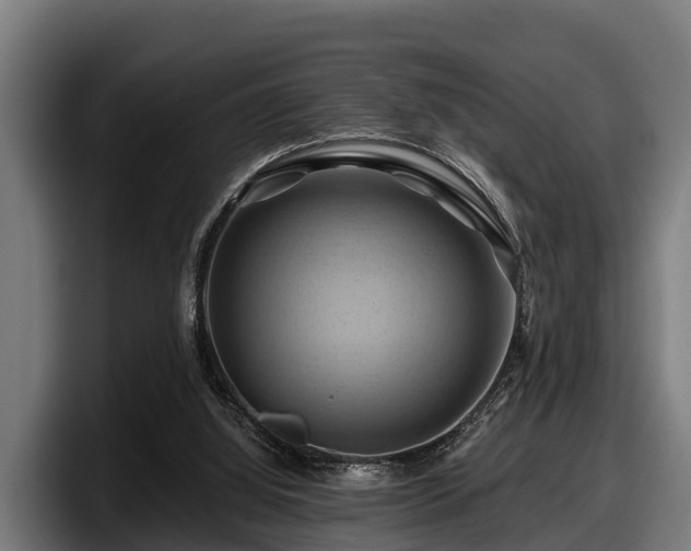 X0000097830060200803201506