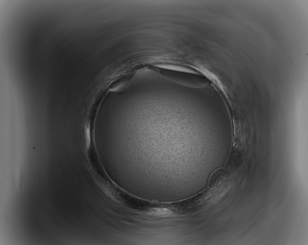 X0000097830061200803201506