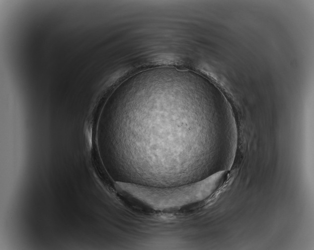 X0000097830062200803201506