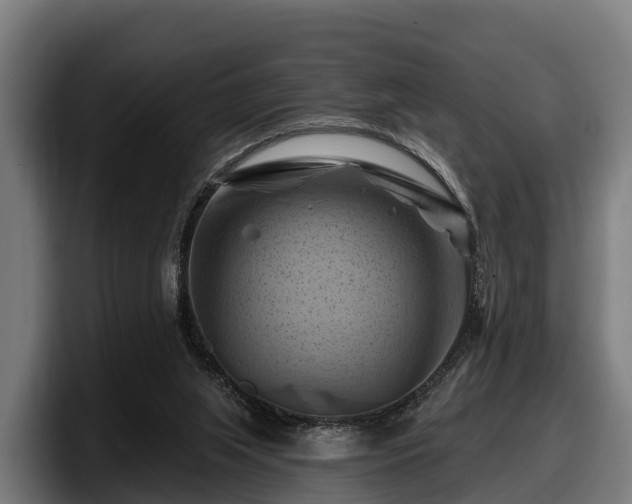 X0000097830063200803201506