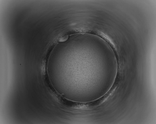 X0000097830065200803201506