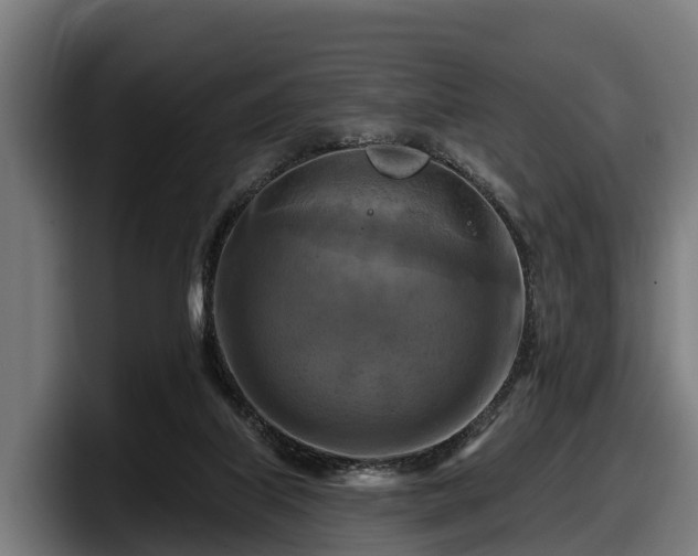 X0000097830067200803201506