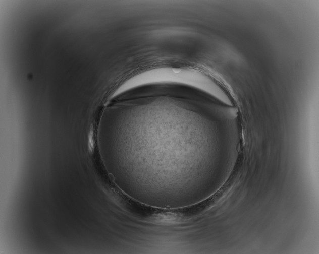 X0000097830069200803201506