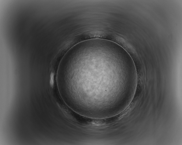 X0000097830070200803201506