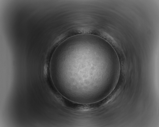 X0000097830071200803201506