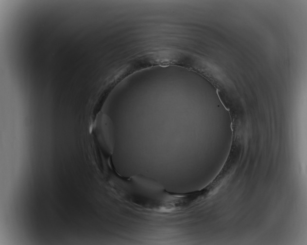 X0000097830076200803201506