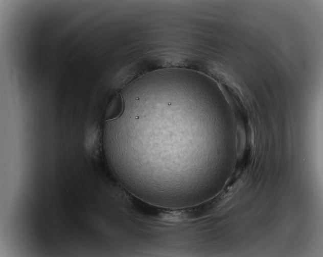 X0000097830079200803201506