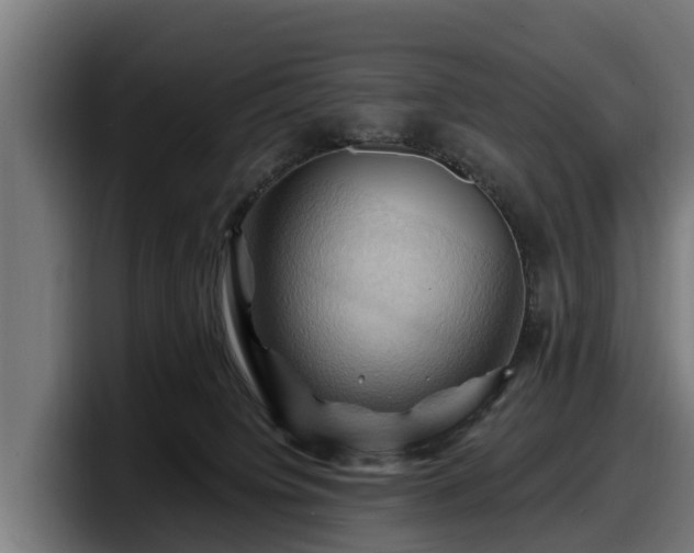 X0000097830084200803201506