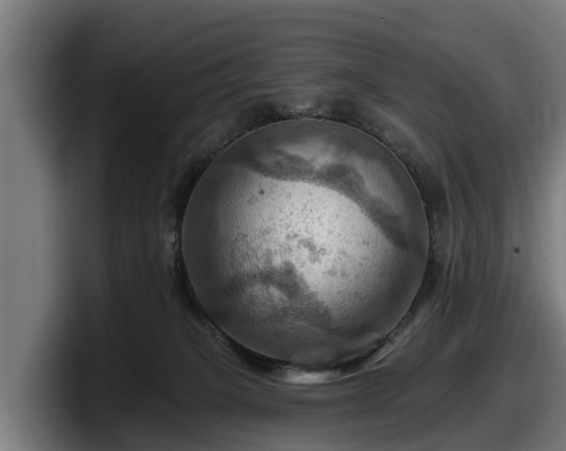 X0000097830085200803201506