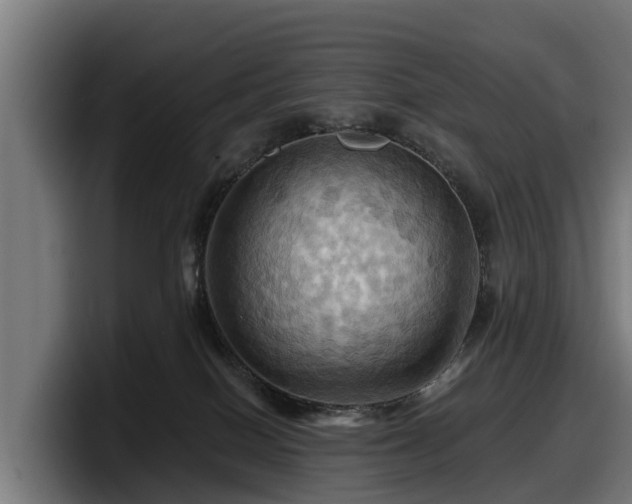 X0000097830086200803201506