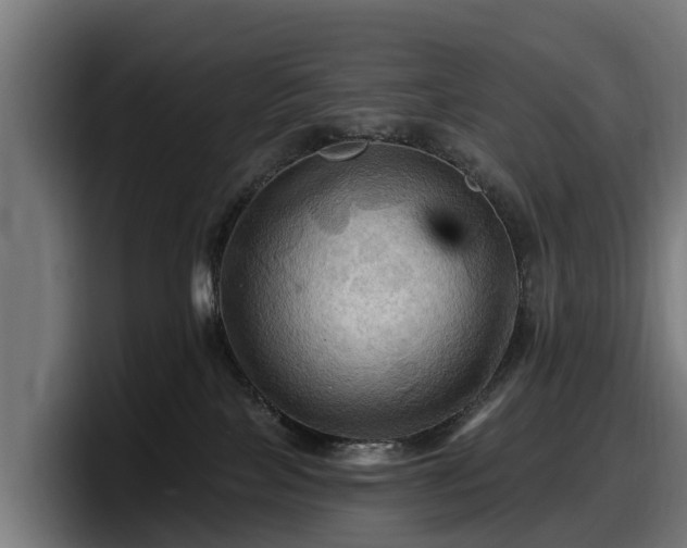 X0000097830089200803201506