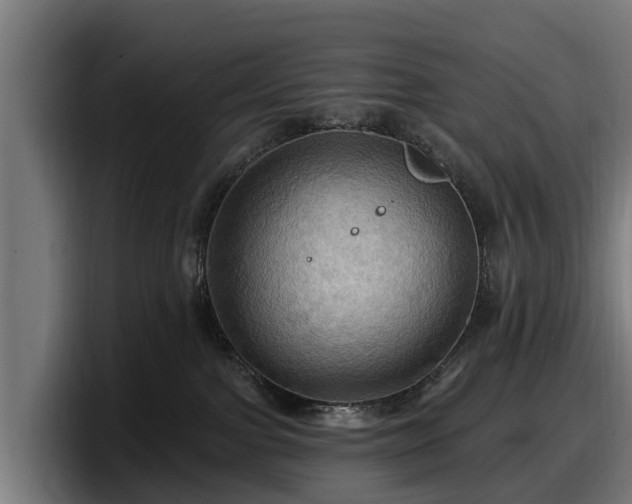 X0000097830091200803201506