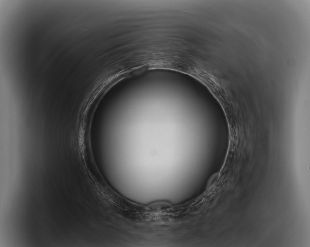 X0000097830098200803201506