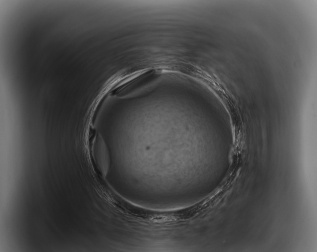 X0000097830099200803201506