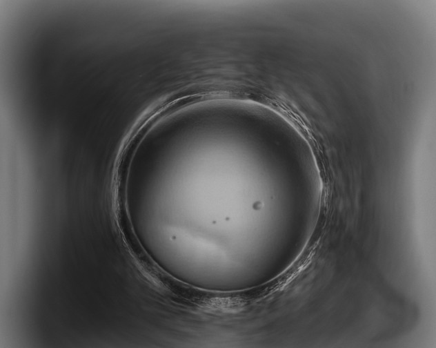 X0000097830101200803201506