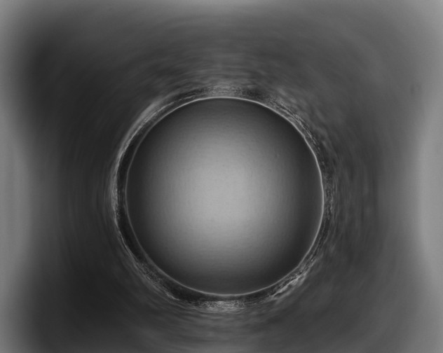 X0000097830102200803201506