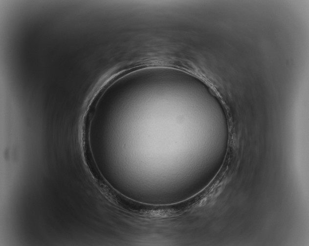 X0000097830103200803201506