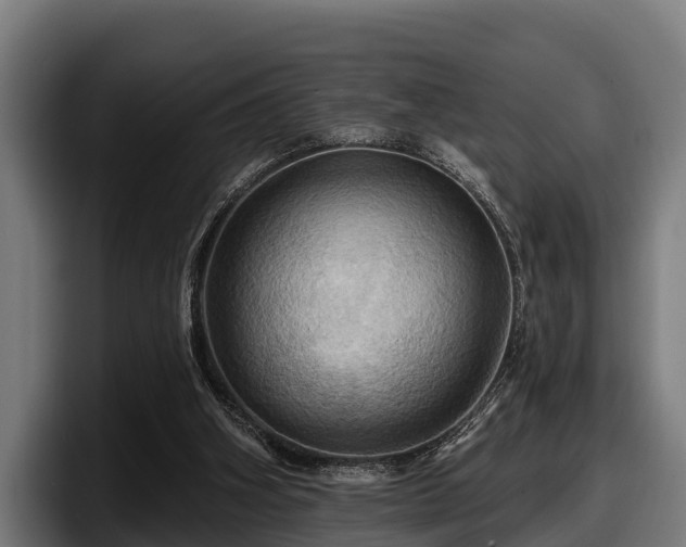 X0000097830106200803201506