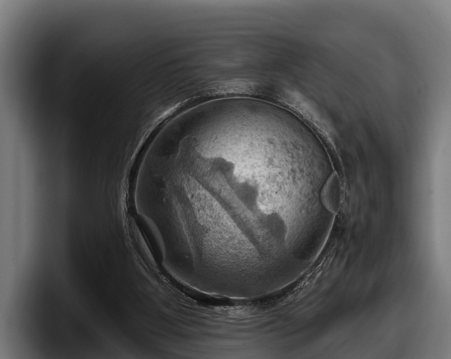 X0000097830107200803201506