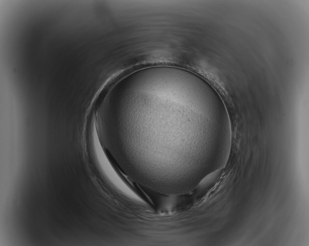 X0000097830108200803201506