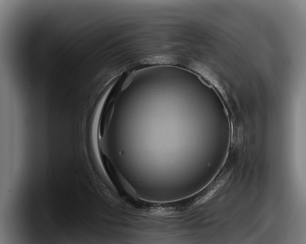 X0000097830109200803201506