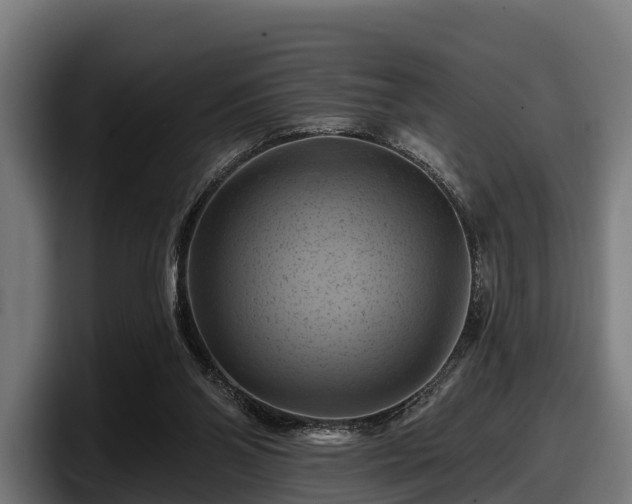 X0000097830110200803201506