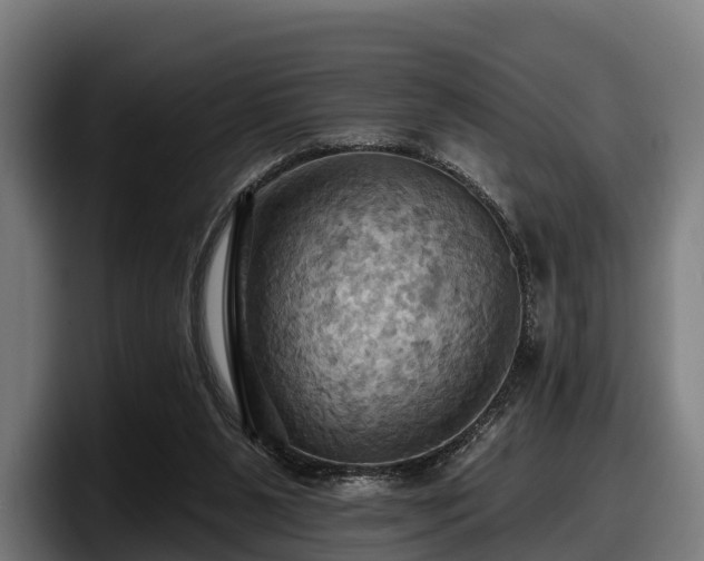 X0000097830111200803201506