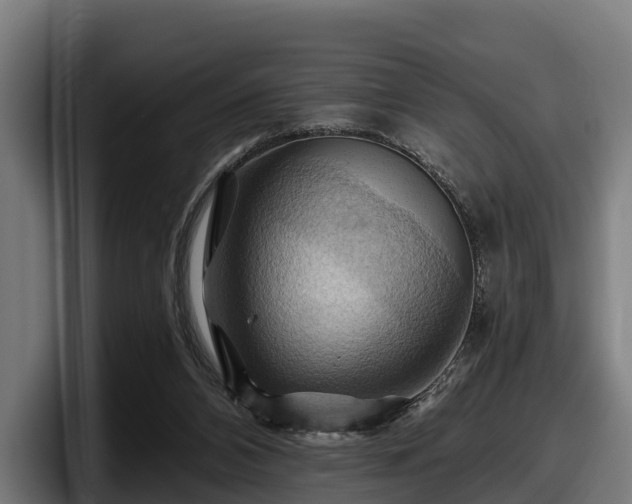 X0000097830112200803201506